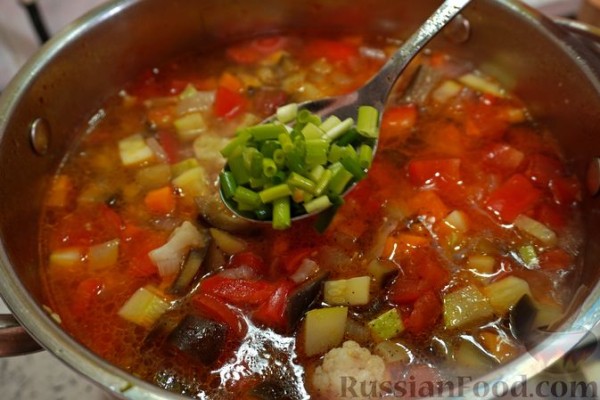 Овощной суп с кабачками, баклажанами и цветной капустой